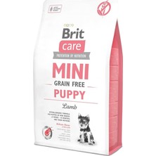 Die Grup Tr Care Mini G-F Puppy Küçük Irk Yavru Kuzulu Köpek Maması 2 Kg, TYB823014121D230516094125