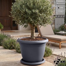 Die Grup Tr Tabaklı Yuvarlak Plastik Villa Saksı (Antrasit, 54 Litre)