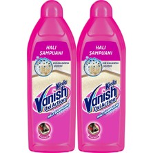 Die Grup Tr Kosla Zorlu Lekelere Özel Leke Çıkarıcı Halı Yıkama Şampuanı (2 x 850 Ml)