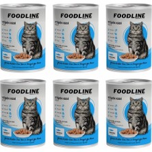 Die Grup Tr Yetişkin Kedi Konservesi 400 Gr, Gravy Sos Içerisinde Parça Etli (400 gr x 6 Adet, Somon)