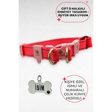 Die Grup Tr Reflektörlü Köpek Tasma, Çift Kanca Bağlantılı, Kişiye Özel Köpek Tasması. Büyük Irk Köpek Tasması, Pembe-M