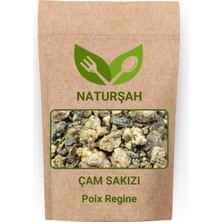 Naturşah Çam Sakızı 1 kg / Poix Regine