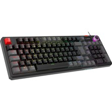 Die Grup Tr Loyal USB Hot Swap Rgb Red Switch Mekanik Gaming Oyuncu Klavye (Siyah/gri)