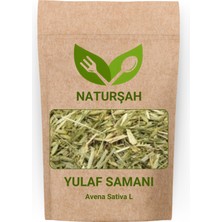Naturşah Yeşil Yulaf Samanı 1 kg / Avena Sativa