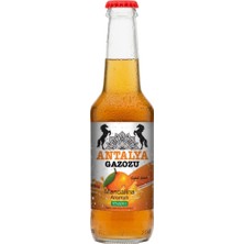 Antalya Gazozu Mandalina Aromalı 250 ml (24'lü Koli)