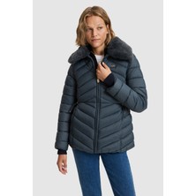U.S. Polo Assn. Kadın Gri Mont 50326248-VR076