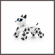 Nexora Living SH59964 2.4g Uzak.kum.akrobatik Kedi Köpek Nxrlvng