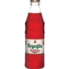 Beyoğlu Gazozu Reyhan Aromalı 250 ml (24'lü Koli)