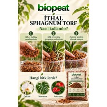 Biopeat Ithal Sphagnum Torf 5 Litre – Premium Bitki Yetiştirme Ortamı