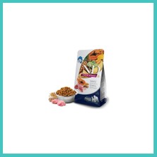 N&d Tropical Selection Kuzu Etli ve Tropikal Meyveli Orta ve Büyük Irk Yetişkin Köpek Maması 10 kg Nyjoybz