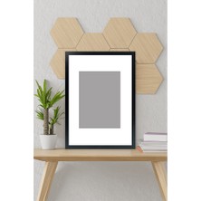 Özcanlar Çerçeve Özcanlar Avrupa Fonlu Siyah Derinlik Görünümlü Tekli Resim Çerçevesi 25x25 cm Lamine