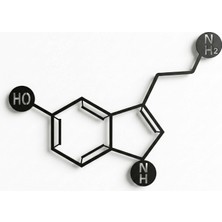 Metal Duvar Sanatı - Serotonin - 3D Duvar Silueti Metal Duvar Dekoru Ev Ofis Dekorasyonu Yatak Odası Oturma Odası Dekorasyonu (18 G x 10 Y / 46X25CM)