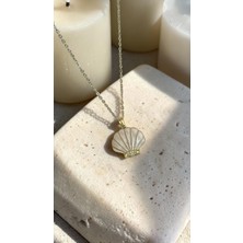Dore Collection Zirkon Taşlı Sedefli Deniz Kabuğu Formlu Cerrahi Çelik Kolye