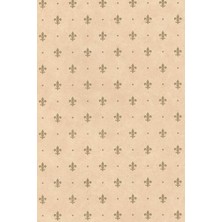Zemira Desenli Kendiliginden Yapışkanlı Kaplama Folyosu 45 cm x 5 mt ELF009