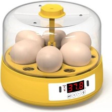 Zemira Mini Otomatik Ev Tipi Kuluçka: Elektrikli Tavuk ve Kuş Kuluçka Makinesi 6 Yumurtalı Mx-6