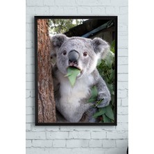 Zemira Postermanya (PSTER11749) Koala Hayvan Çerçeveli Tablo (21X30CM)