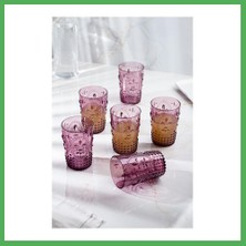 Astraltech Akrilik Mürdüm 6'lı Kısa Bardak & Su Meşrubat Kahve Yanı Bardağı 400 ml ( Cam Değildir ) Bezoss