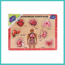 Ny Joy ONY-287 288 Ahşap Tutmalı Vücumuzu Tanıyalım - Nyjoybz