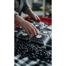 Tarla Kuşu Taze Aronya Meyvesi 2 kg Ilaçsız Analizli