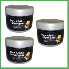 Astraltech Hintohu Yaşlanma Karşıtı Dev Afrika Salyangozu Kremi 100 ml X3 / Anti-Wrinkle Giant African Snail Cream 100 ml x 3 Bezoss