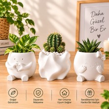 Smartshoping 3lü Takım Dekoratif Saksı