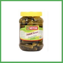 Astraltech Salatalık Turşu 1350GR 1 Adet Bezoss