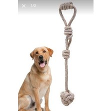 Bezos Köpek Çekme Halatı Za