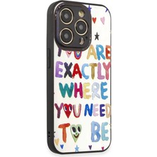 Aslanoğlu Store Apple iPhone 12 Pro Kılıf Mirror Desenli Kapak - Mirror - 10