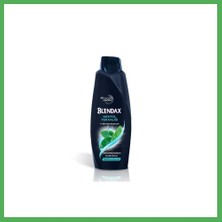 Astraltech Erkek Mentol Şampuan 500ML 1 Adet Bezoss