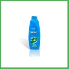 Astraltech Isırgan Özlü Şampuan 500ML 1 Adet Bezoss