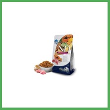 N&d Tropical Selection Kuzu Etli ve Tropikal Meyveli Orta ve Büyük Irk Yetişkin Köpek Maması 10 kg Bezoss