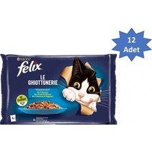TeknoKapsül Felix 4’lü Pouch 12’li Kutu