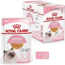 TeknoKapsül Royal Canin Pouch Kitten 12’li