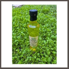 Nexora Living Sude Life Işgın Sirkesi 500 ml Nxrlvng
