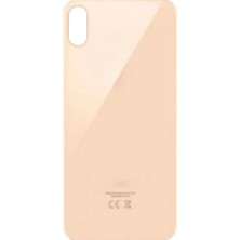 Elitse iPhone Xs Max Arka Kapak (Gold)