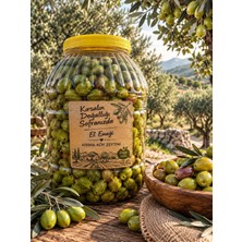 Yücehas Tarım Kırma Yeşil Zeytin (Trilye) Cinsi Orta Boy Net:3 KG
