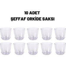 Orkide Saksısı Kristal Orkide Saksı 10 Adet 1,5 Litre Orkide Saksı Şeffaf Orkide Saksısı