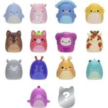 Squishmallows Squish-A-Longs 14 Figür + Yüzük Set Seri 2 AL0066