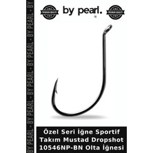 Özel Seri Iğne Sportif Takım Mustad Dropshot 10546NP-BN Olta Iğnesi