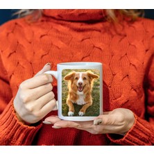 Elfi Border Collie / Toller Köpek Desenli Tasarım Kupa Bardak - Kahve ve Çay Kupası