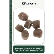 Premium Çeşit Av Ürün Berkley Powerbait Trout Nouggets Yemi