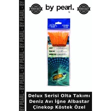 Delux Serisi Olta Takımı Deniz Avı Iğne Albastar Çinekop Köstek Özel