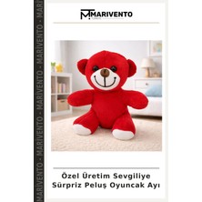 Özel Üretim Sevgiliye Sürpriz Peluş Oyuncak Ayı