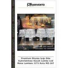 Premium Okuma Işığı Oda Aydınlatması Küçük Lamba LED Masa Lambası 12’li Kutu MZ-167