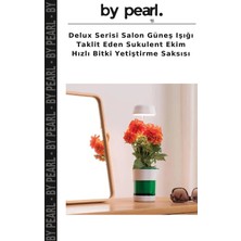 Delux Serisi Salon Güneş Işığı Taklit Eden Sukulent Ekim Hızlı Bitki Yetiştirme Saksısı