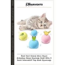 Özel Seri Enerji Atıcı Oyun Arkadaşı Neşe Kaynağı Kedi Otlu 3 Sesli Interaktif Top Kedi Oyuncağı