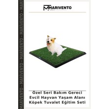 Özel Seri Bakım Gereci Evcil Hayvan Yaşam Alanı Köpek Tuvalet Eğitim Seti