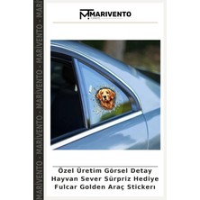 Özel Üretim Görsel Detay Hayvan Sever Sürpriz Hediye Fulcar Golden Araç Stickerı