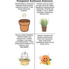 Happy Trend Kolay Yetiştirme – Pomponet Kedi Çimi ile Yıl Boyu Yeşillik!