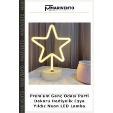 Premium Genç Odası Parti Dekoru Hediyelik Eşya Yıldız Neon LED Lamba